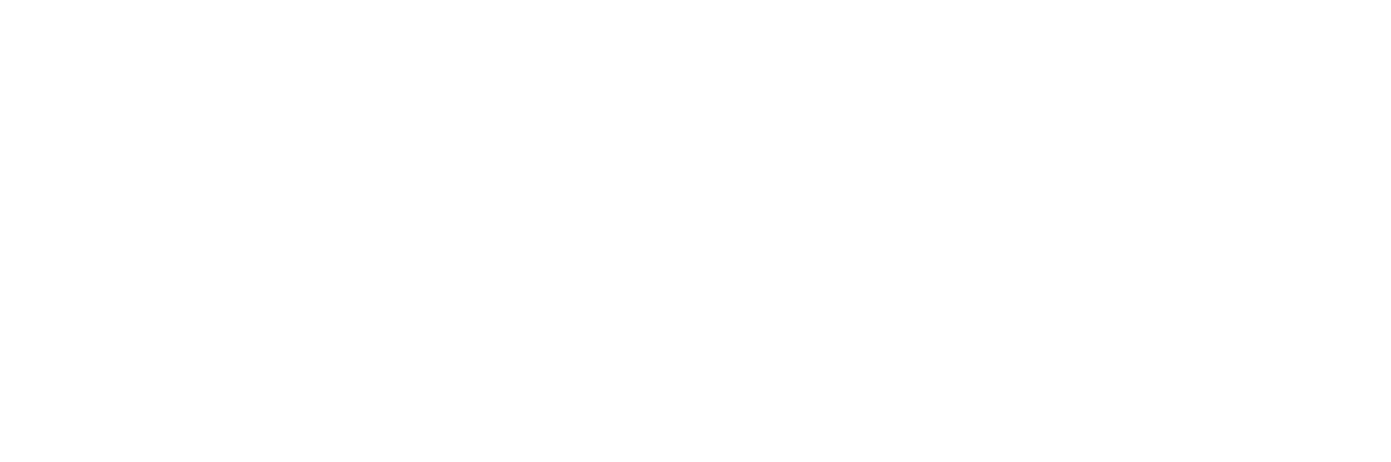 MetaShape logo White-01
